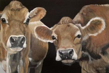 Hello There Cows | Obraz na stenu