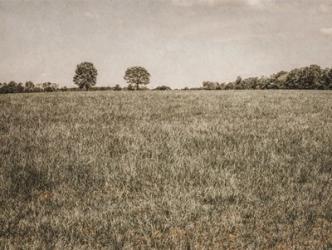 Together in the Fields II | Obraz na stenu