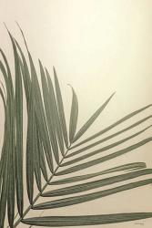 Golden Hour Palm | Obraz na stenu