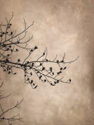 At Rest in the Lake Fog | Obraz na stenu