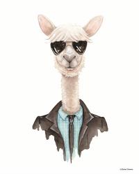 Alpaca in Aviators | Obraz na stenu