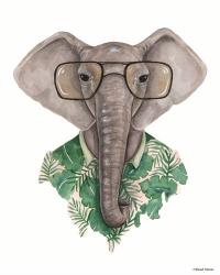 Elephant in Eye Glasses | Obraz na stenu