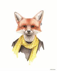Foxxy Fox | Obraz na stenu
