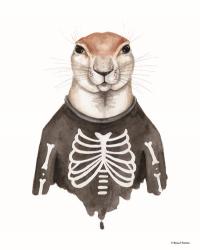 Xerus in an Xray Shirt | Obraz na stenu