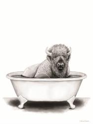 Bison in Tub | Obraz na stenu