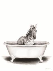 Zebra in Tub | Obraz na stenu