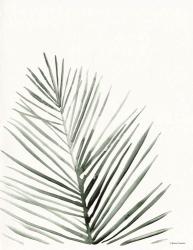 Summer Botanicals 1 | Obraz na stenu