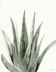 Summer Botanicals 2 | Obraz na stenu