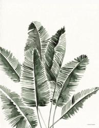 Summer Botanicals 3 | Obraz na stenu