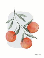 Summer Orange | Obraz na stenu