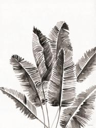 Organic Botanical III | Obraz na stenu