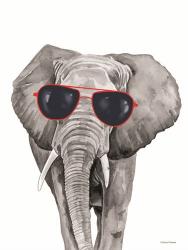 Looking Cool Elephant | Obraz na stenu