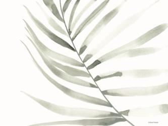 Sage Fern Leaf | Obraz na stenu