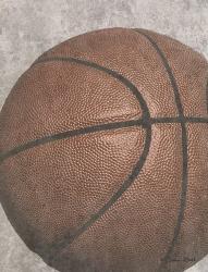 Sports Ball - Basketball | Obraz na stenu
