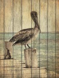 Vintage Pelican I | Obraz na stenu