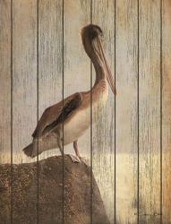 Vintage Pelican II | Obraz na stenu