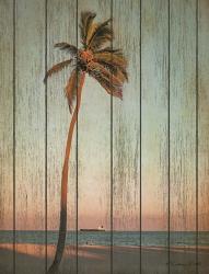 Vintage Palm | Obraz na stenu