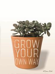 Succulent Grow Your Own Way | Obraz na stenu