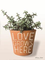 Succulent Love Grows Here | Obraz na stenu