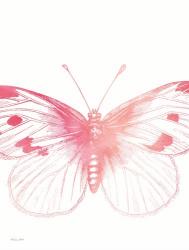 Pink Butterfly III | Obraz na stenu