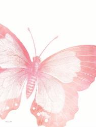 Pink Butterfly V | Obraz na stenu