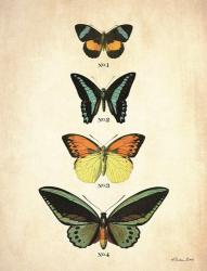 Butterflies 2 | Obraz na stenu