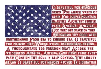 America the Beautiful Flag | Obraz na stenu