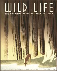 Wild Life | Obraz na stenu