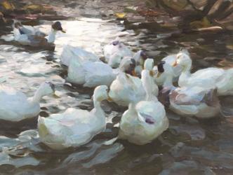 Ducks by the Lake 3 | Obraz na stenu