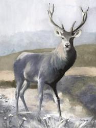 Elk in the Wild | Obraz na stenu