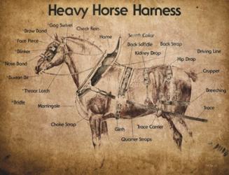 Heavy Horse Harness | Obraz na stenu