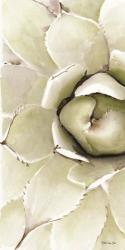 Agave Panel 2 | Obraz na stenu