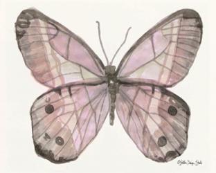 Butterfly 5 | Obraz na stenu
