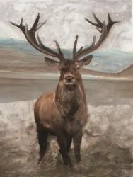 Grand Elk 1 | Obraz na stenu
