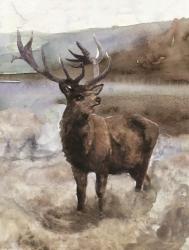 Grand Elk 2 | Obraz na stenu
