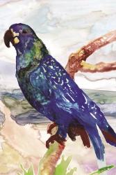 Blue Parrot on Branch 2 | Obraz na stenu