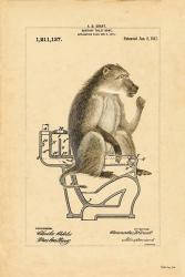 Monkey in Bowl | Obraz na stenu