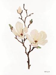 Magnolia | Obraz na stenu