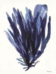 Transparent Indigo Sea Grass II | Obraz na stenu