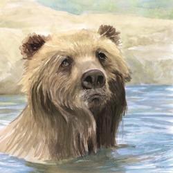 Bear Bath | Obraz na stenu
