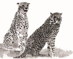 Cheetahs | Obraz na stenu
