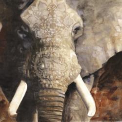 Mandala Elephant | Obraz na stenu