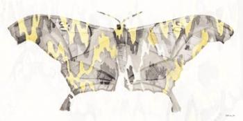 Yellow-Gray Patterned Moth 2 | Obraz na stenu