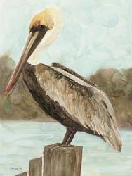 Brown Pelican 3 | Obraz na stenu