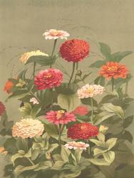 Antique Botanical Collection 1 | Obraz na stenu
