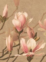 Antique Botanical Collection 4 | Obraz na stenu