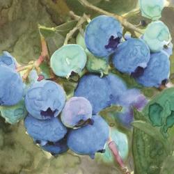 Blueberries 2 | Obraz na stenu