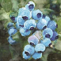 Blueberries 3 | Obraz na stenu