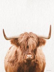 Cow Portrait | Obraz na stenu