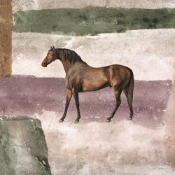 Horse in Field | Obraz na stenu